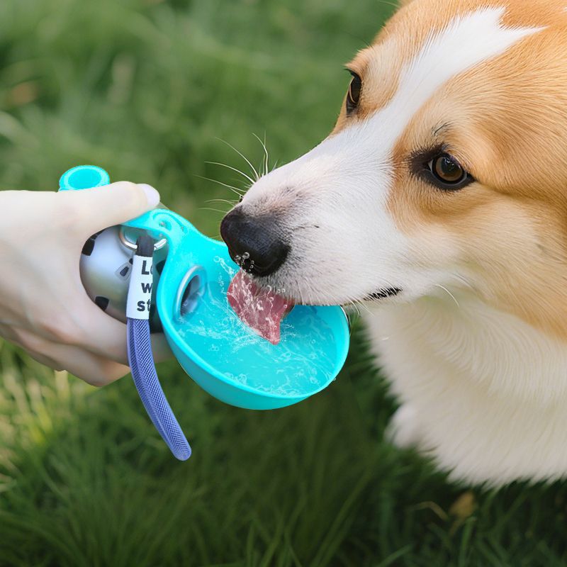 Quality Collapsible Pet Water Bottle